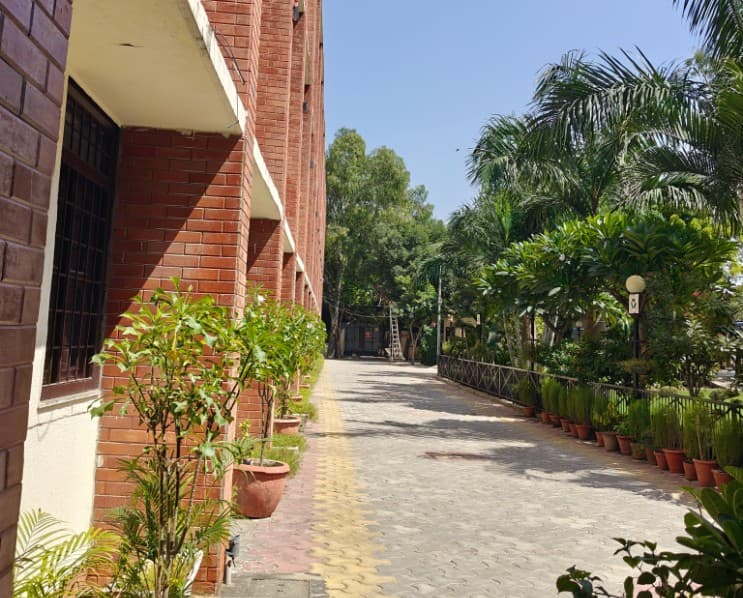 Shyam Lal College Campus photo 14